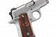 micro_9_stainless_raptor.png